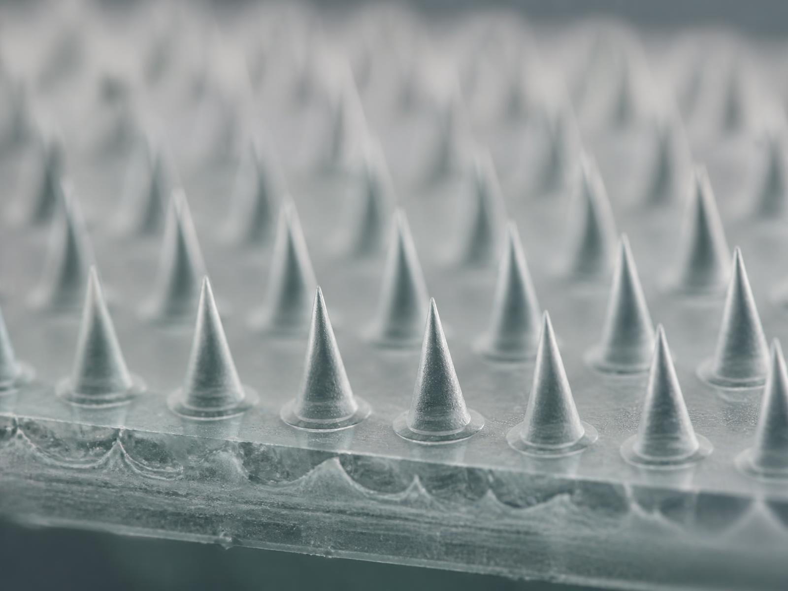 Microscopic view of a Cardinal microneedle array on its patch substrate